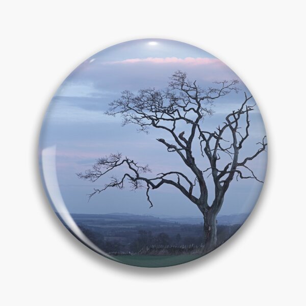 Item preview, Old Tree designed and sold by ShinyPhoto.