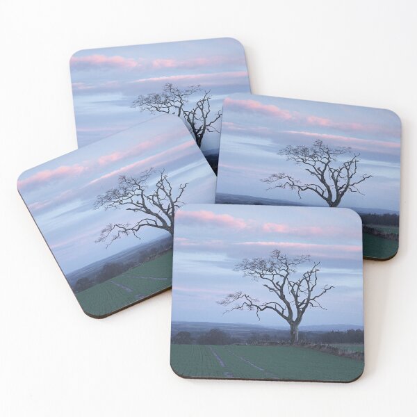 Item preview, Old Tree designed and sold by ShinyPhoto.