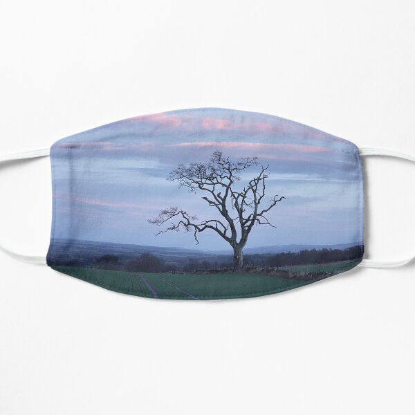 Old Tree Flat Mask
