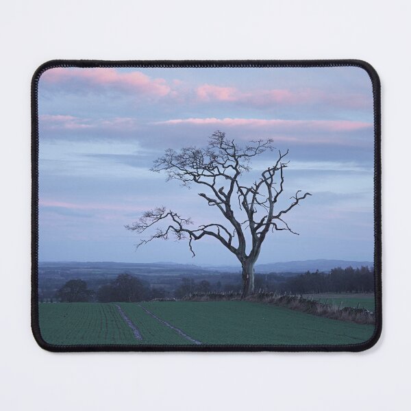 Item preview, Old Tree designed and sold by ShinyPhoto.