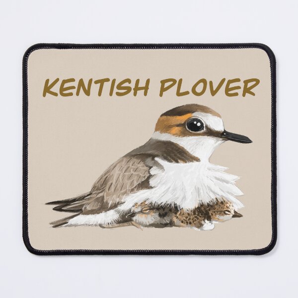 Item preview, Kentish Plover brood designed and sold by LeoXiang.