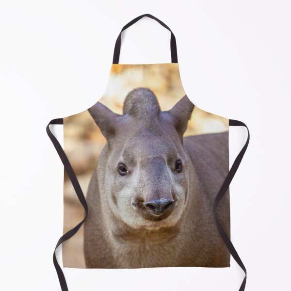 Item preview, Tapir brasileño designed and sold by Dalyndigital Photography.