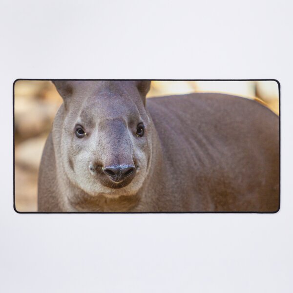 Item preview, Brazilian Tapir designed and sold by Dalyndigital Photography.