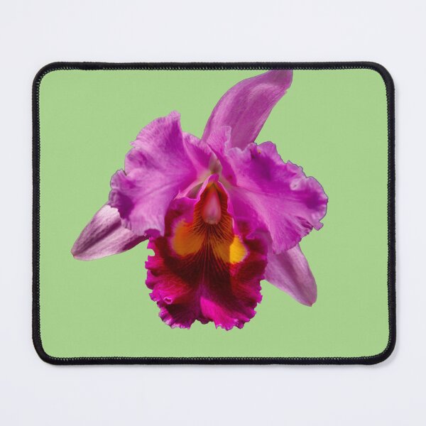 Item preview, Beautiful Pink Orchid Flower designed and sold by Dalyndigital Photography.