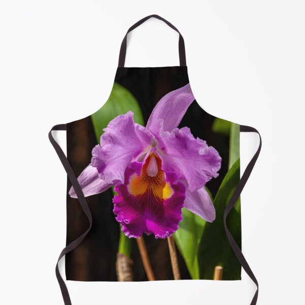 Item preview, Beautiful Pink Orchid Flower designed and sold by Dalyndigital Photography.