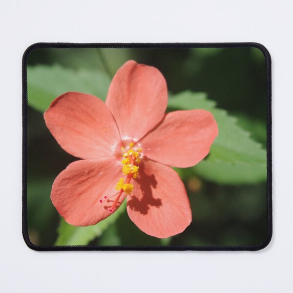 Item preview, Sweet Hibiscus designed and sold by Rainy.
