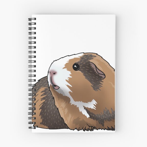 Item preview, Chonk the Guinea pig designed and sold by KatsGuineapigs.