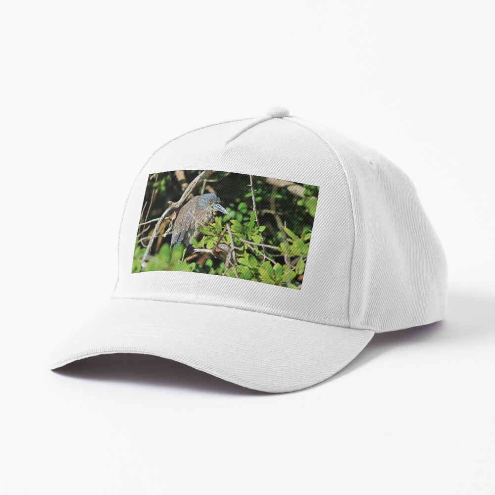 A Melancholy Day Cap