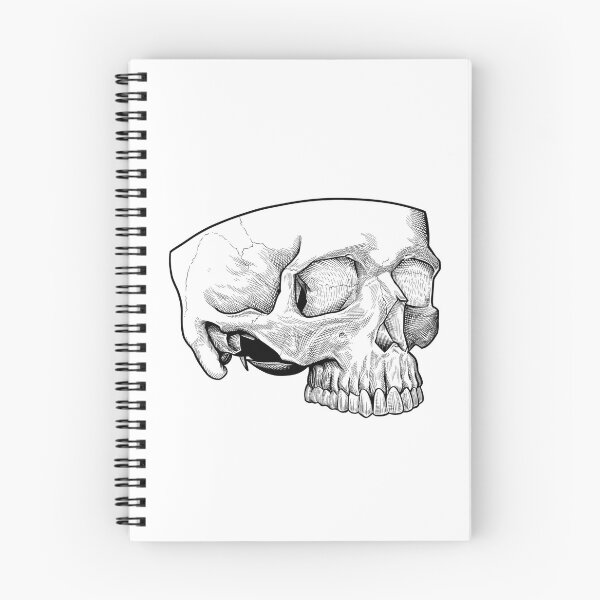 Item preview, Half Skull designed and sold by Vlek.