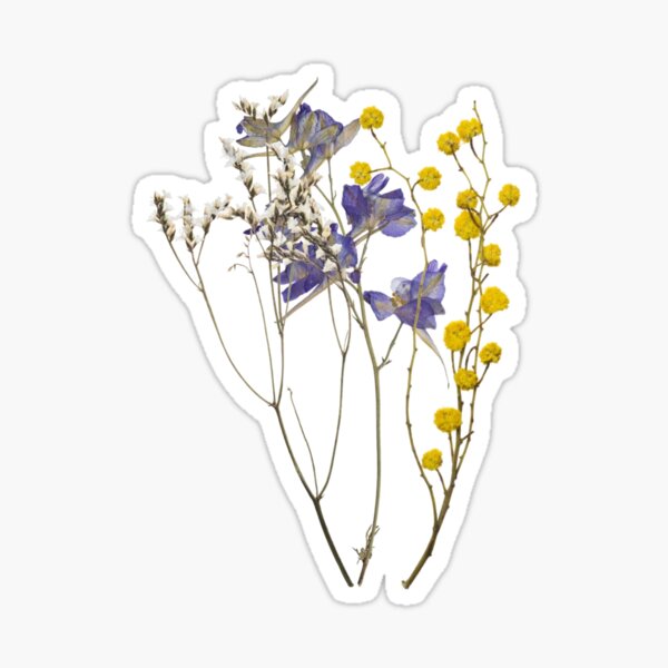 Dried Flowers Sticker Set, Pressed Wildflowers Stickers, Wild Flower  Bouquet Stickers, Hippie Boho Floral Stickers, Meadow Flower Stickers