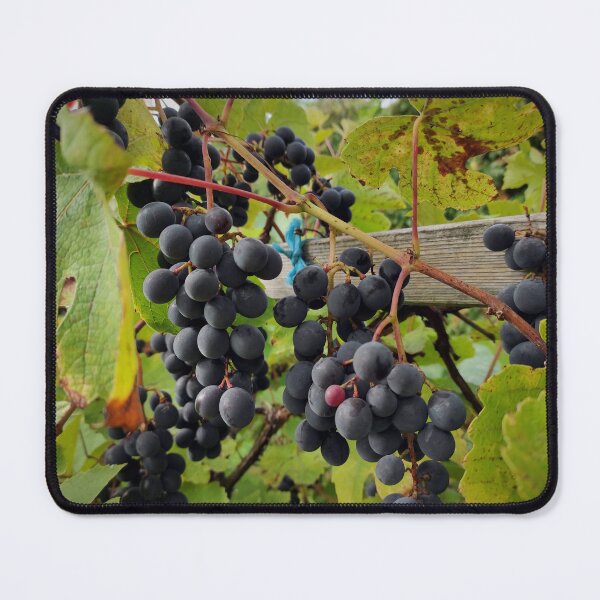 Item preview, grapes designed and sold by Gourmetkater.
