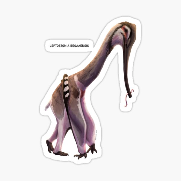 Item preview, Leptostomia begaaensis designed and sold by SaintNevermore.