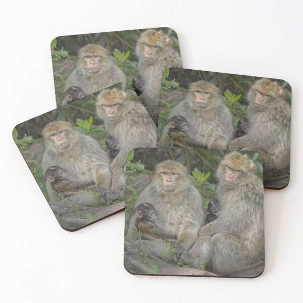Item preview, Mothers meeting designed and sold by Dave Tucker.