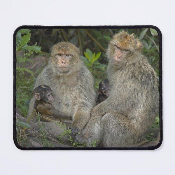 Item preview, Mothers meeting designed and sold by Dave Tucker.