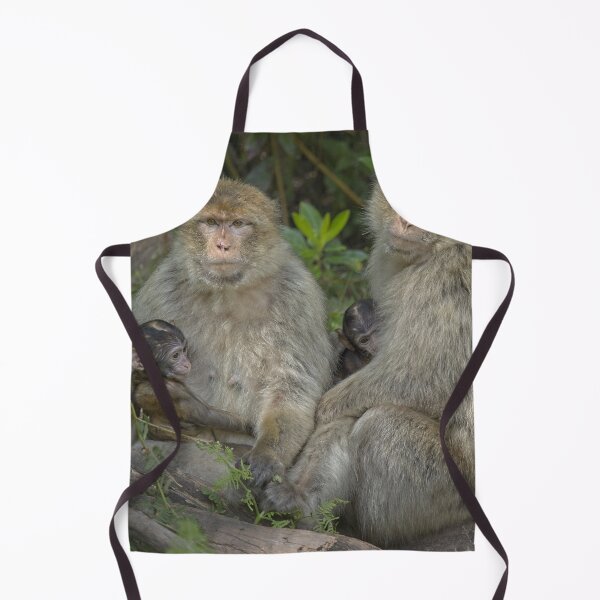 Item preview, Mothers meeting designed and sold by Dave Tucker.