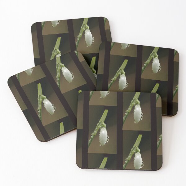 Item preview, The First Snow Drop designed and sold by JohnGaffen.
