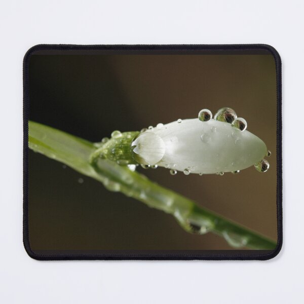 Item preview, The First Snow Drop designed and sold by JohnGaffen.