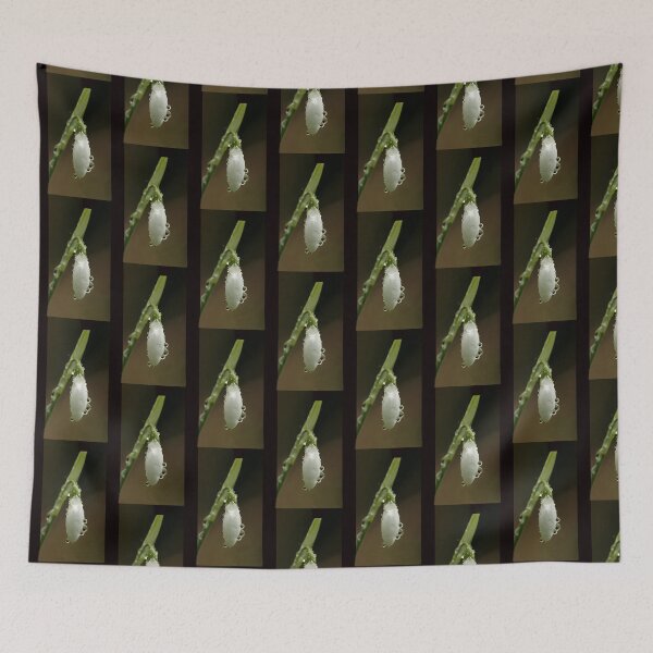 Item preview, The First Snow Drop designed and sold by JohnGaffen.