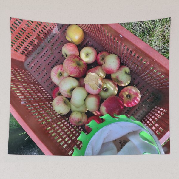 Item preview, apple harvest designed and sold by Gourmetkater.