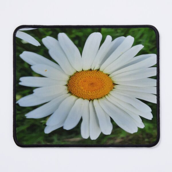 Item preview, Daisy, Floralaesthetic, Love Floral Layers designed and sold by DiensDesign.