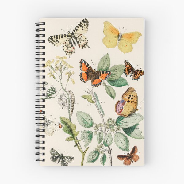 Item preview, Butterfly - Entomology designed and sold by kwbord.
