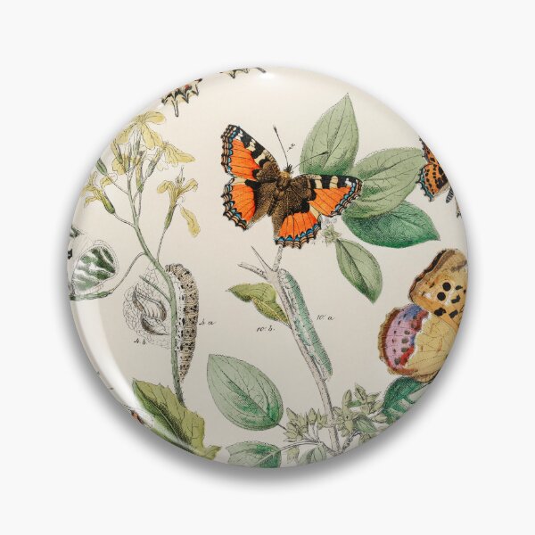 Item preview, Butterfly - Entomology designed and sold by kwbord.