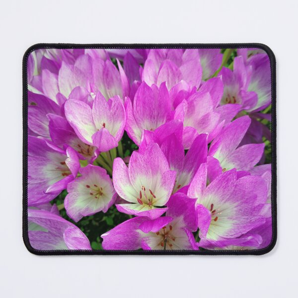 Item preview, autumn crocus designed and sold by Gourmetkater.