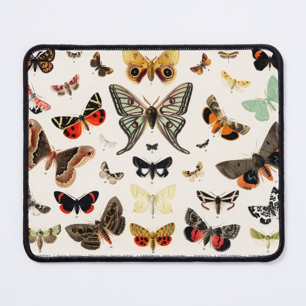 Item preview, Butterfly - Conservationist designed and sold by kwbord.