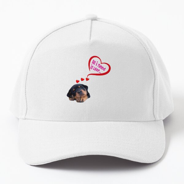 All I Need is LOVE Baseball Cap