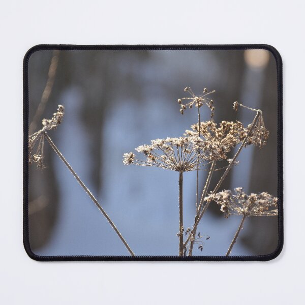 Item preview, Fragile designed and sold by denis-romanov.
