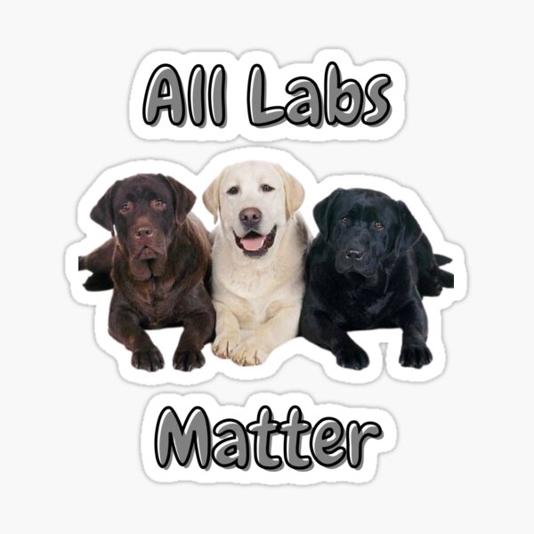 Black labs matter hot sale all labs matter