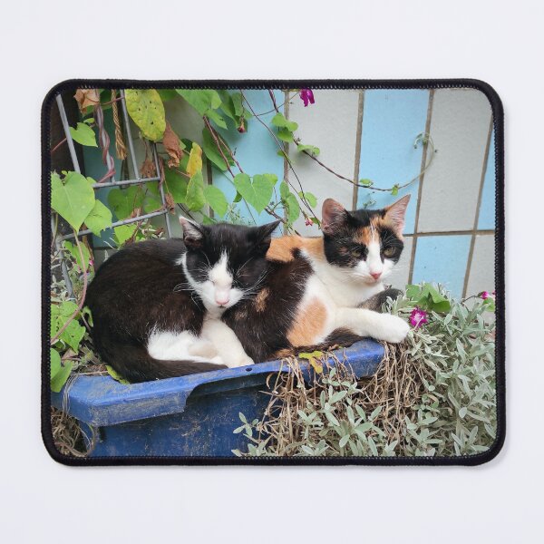 Item preview, Brother & Sister designed and sold by Gourmetkater.