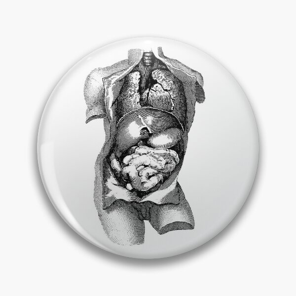 Item preview, Human anatomy designed and sold by geum.