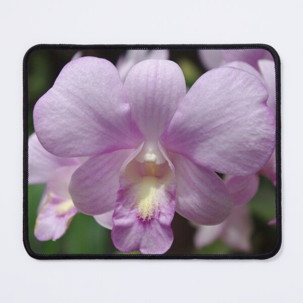 Item preview, My Sweet Purple Orchids designed and sold by Rainy.