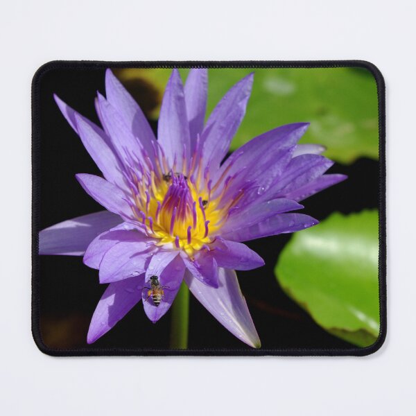 Item preview, Sweet Purple Lily designed and sold by Rainy.