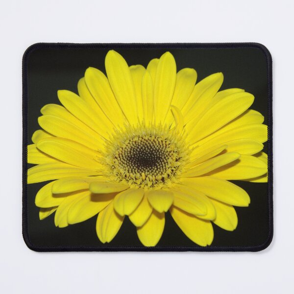 Item preview, Yellow Gerbera designed and sold by Rainy.