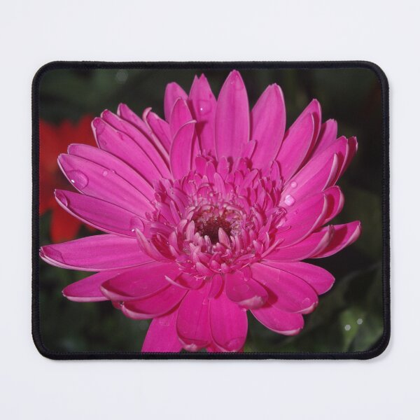 Item preview, Pink Gerbera designed and sold by Rainy.