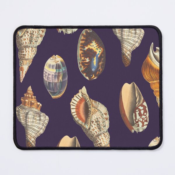 Item preview, Shell designed and sold by Pacesyte.
