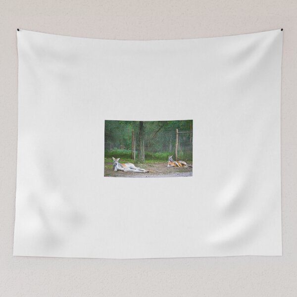 Item preview, Hangin out with my mate @ Healesville Sanctuary designed and sold by DavidONeill.