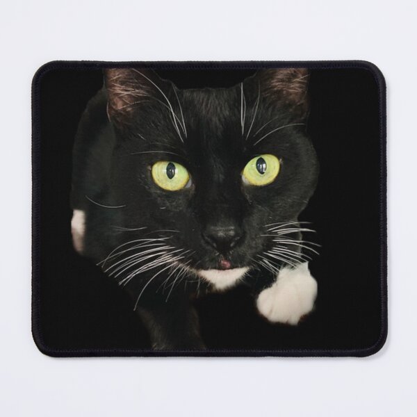 Item preview, A cat named Dom designed and sold by BanksyNB.