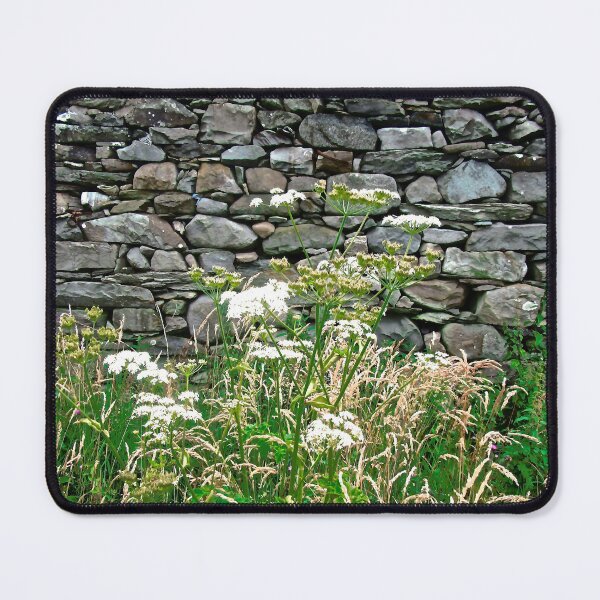 Item preview, Wall of an abandoned cottage designed and sold by Shulie1.