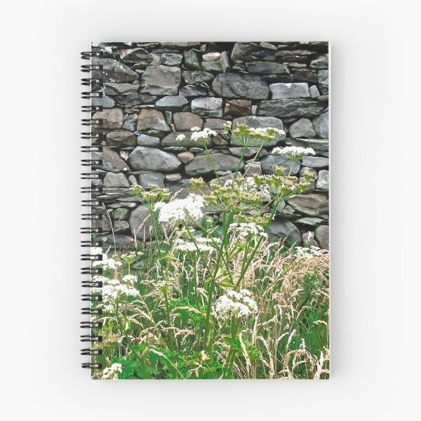 Item preview, Wall of an abandoned cottage designed and sold by Shulie1.
