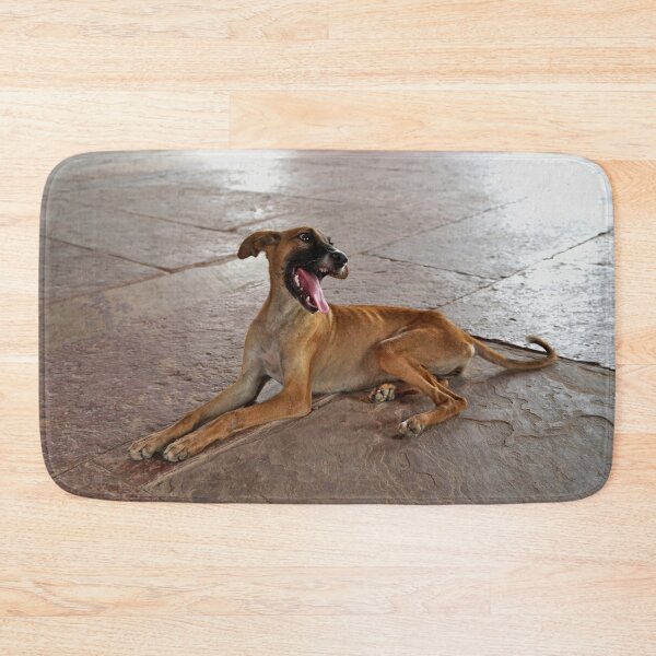 Item preview, Laughing dog designed and sold by BlackoutPhotos.