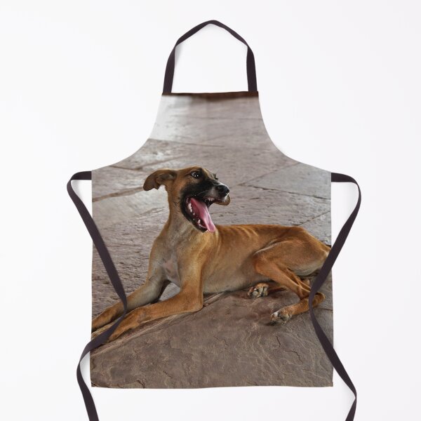 Item preview, Laughing dog designed and sold by BlackoutPhotos.