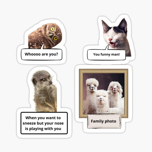 "Can Animals Find Things Funny" Sticker by Vimbuy Redbubble