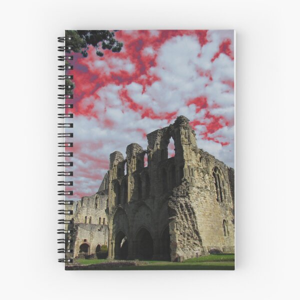 Item preview, Wenlock Priory, Much Wenlock designed and sold by wiggyofipswich.