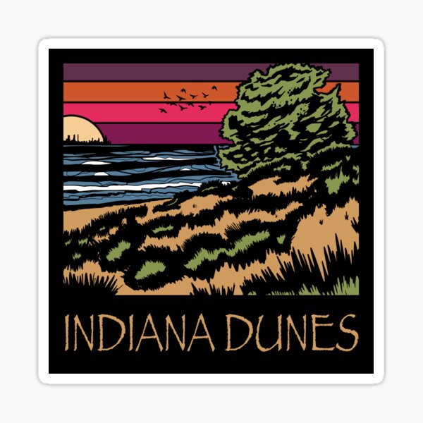 Lakeview Sunset Indiana Dunes Poster Sticker