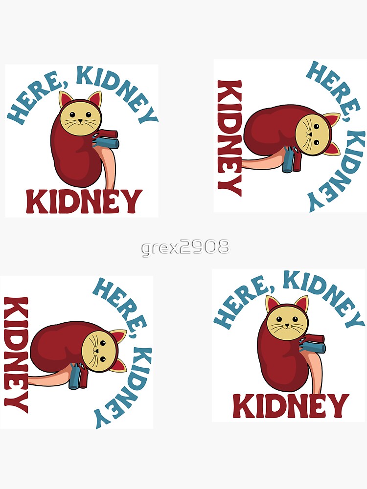 "Funny Kidney Donor Or Transplant Here Kidney, Kidney Cat Pun Kidney