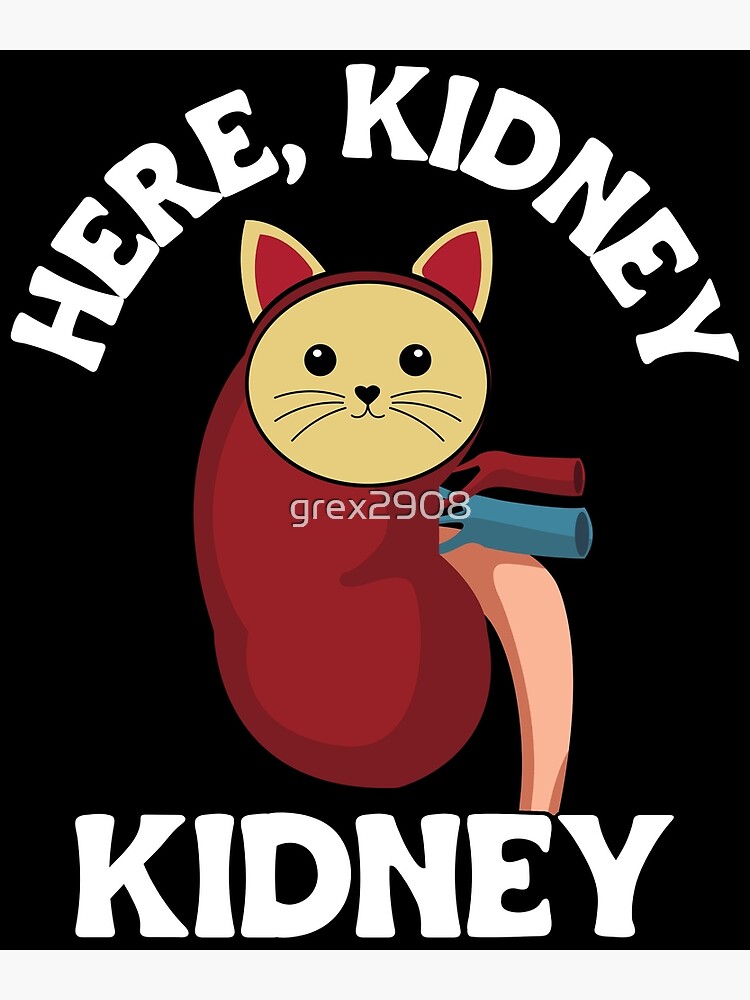 "Funny Kidney Donor Or Transplant Here Kidney, Kidney Cat Pun Kidney