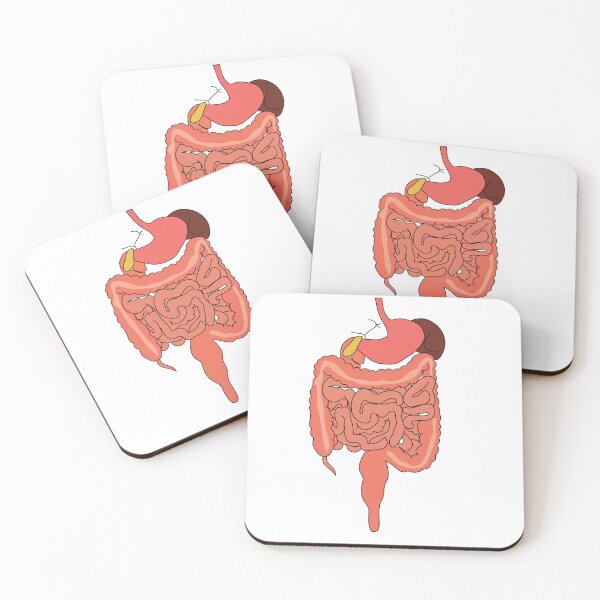 Item preview, human digestive system diagram poster | human digestive system diagram educational art  designed and sold by KARTICK DUTTA.